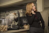 Akte X - Die unheimlichen Fälle des FBI – Gillian Anderson