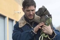 The Drop - Bargeld – Bob Saginowski (Tom Hardy) ist ein einfacher, harmloser Typ, der in der Bar seines Onkels Marv hinter dem Tresen arbeitet, sich aber aus all den schmutzigen Dingen, die auch vor seinen Augen gedreht werden, tunlichst heraushält. Doch eines Tages, als er sich eines herrenlosen Hundes annimmt, ändert sich dies ...