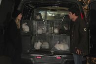 How I Met Your Mother – Ted (Josh Radnor, r.) lernt die sympathische Zoey (Jennifer Morrison, l.) kennen. Doch leider verläuft nicht alles nach Plan ...