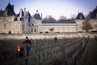 Profiling Paris – Eigentlich wollten sie ein Teambuilding-Seminar auf einem Weingut besuchen, doch als Adèle (Juliette Roudet, r.) und ihre Kollegen erfahren, dass die Inhaber seit Monaten bedroht und attackiert werden, nehmen sie die Arbeit auf ...