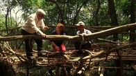 Genial konstruiert – Das indigene Volk der Khasi erbaut im nordostindischen Bundesstaat Meghalaya sogenannte lebende Brücken.