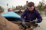 Im Bauch von ... – Diese kleinen Krebse werden von sogenannten Moecanti gefischt und sortiert. Das sind spezialisierte Fischer aus der Lagune von Venedig, deren Beruf bereits zur Zeit der Serenissima im 18. Jahrhundert anerkannt war.