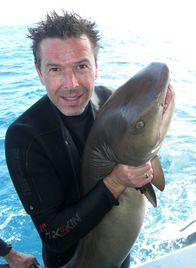 Steffens entdeckt – Und nun wieder rein ins Meer. Lange kann Dirk Steffens den Riffhai nicht mehr halten.