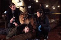 Hudson & Rex – L-R: Charlie Hudson (John Reardon), Rex (Diesel vom Burgimwald), Jay Tomlinson (Jeff Sullivan), Sarah Truong (Mayko Nguyen)