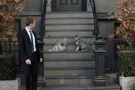 How I Met Your Mother – Möchte einen Hund zu seinem Begleiter beim Frauenaufreißen machen: Barney (Neil Patrick Harris) ...