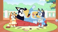 Bluey – L-R: Bingo, Bandit, Bluey