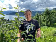 Mittsommer in Norwegen – Die Hänge am Hardangerfjord sind der Obstgarten Norwegens.