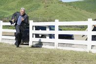Navy CIS – Gibbs (Mark Harmon) muss schnell handeln, als ein Wettrennen gegen die Zeit beginnt ...