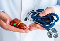 Visite – Concept photo diagnostics and treatment of diseases of gallbladder. Doctor dressed in white lab coat in one hand holds figure of gallbladder and liver, in another twisted stethoscope
