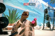 Athleticus – Die Schildkröte streamt ihre Sporteinheit online für Fans.