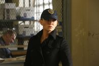 Law & Order: Special Victims Unit – Law & Order: Special Victims Unit (2014)