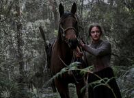 The Nightingale - Schrei nach Rache – Clare (Aisling Franciosi) nimmt entschlossen alle Strapazen und Gefahren in Kauf, um die Wildnis Tasmaniens zu durchqueren und den Mord an ihrer Familie zu rächen.