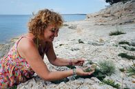 Zu Tisch ... – Marta Fazlic sammelt im Juni wilden Meerfenchel auf der Insel Losinj.