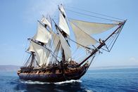Master and Commander: Bis ans Ende der Welt – 1805, zur Zeit der Napoleonischen Kriege. Kapitän Jack Aubrey befindet sich mit der HMS Surprise auf Forschungsreise vor der Küste Brasiliens.