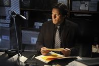 Saw V – Merkt nicht, dass er selbst schon lange eine Spielfigur in Jigsaws perfidem Plan geworden ist: FBI- Agent Strahm (Scott Patterson) ...