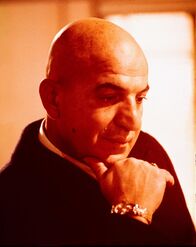 Kojak - Einsatz in Manhattan – Theo Kojak (Telly Savalas) verrichtet die Polizeiarbeit mit Begeisterung. Dabei interpretiert er den Gesetzestext großzügig und verlässt den ausgetretenen Pfad der Vorschriften öfter als seinen Vorgesetzten lieb ist ...