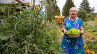 Garten & Lecker – In der dritten Folge geht es in den 1.600 Quadratmeter großen Gemeinschaftsgarten Tausendschön nach Minden. Hier gärtnert, werkelt, kocht und imkert Elisabeth Schmelzer ehrenamtlich gemeinsam mit Menschen aus aller Welt – Deutschen und Migranten. Seit 2015 sät und pflanzt die ehemalige Betriebswirtin dort eine bunte Vielfalt an Gemüse und Obst und kümmert sich tatkräftig um Nachhaltigkeit und Umweltschutz.