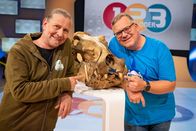1, 2 oder 3 – Tierarzt Dr. Markus Baur (l.) erklärt Elton (r.) heute die unterschiedlichen Zähne von Tieren.