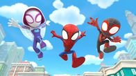 Spidey und seine Super-Freunde – Triff Spidey und seine Super-Freunde