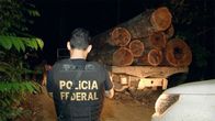 WELTjournal + – Gegen illegale Abholzungen im Amazonas sind die Ordnungshüter Brasiliens weitgehend machtlos.