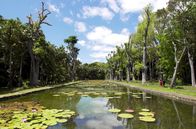 Stadt Land Kunst – Bewaldete Vulkanlandschaften in allen Grünschattierungen, ein bunt schillernder Himmel bei Sonnenuntergang und der Indische Ozean im hellen Mondschein: Mauritius hat viele Gesichter, und eines ist schöner als das andere.