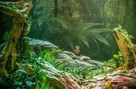 Jean-Philippe Rameau: Platée – Das Regieduo SKUTR verbindet historische Bühnentechnik mit einer fantasievollen Unterwasserwelt.