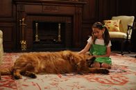 How I Met Your Mother – Blick in die Vergangenheit: Robin (Shelby Zemanek) ...