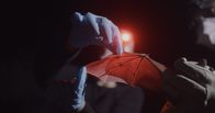 Die Virus-Jäger – A researcher holds up a bat wing to the light as the EcoHealth Alliance team takes samples for viral research. (National Geographic/Daniel Hollis)