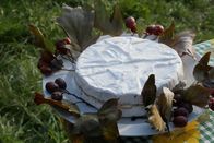 Zu Tisch ... – Zu Tisch Wienerwald – Österreich Camelsbert: Ein mit Elsbeercreme gefüllter Camembert Copyright: SRF/Berlin Producers/Dieter Stürmer