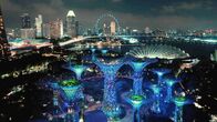 Geniale Bauwerke der Geschichte – Die solarbetriebenen "Supertrees" in Singapur: Künstliche Bäume, die in der Nacht aufwändig in Szene gesetzt werden.