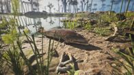 Katastrophen der Erdgeschichte – Ein so genannter Tiktaalik verlässt das Wasser und markiert damit einen entscheidenden Schritt in der Evolution, als die Wirbeltiere begannen, das Land zu erobern. Mit seinen flossenartigen Gliedmaßen und dem flachen Schädel gilt der Tiktaalik als Bindeglied zwischen den Fischen und den ersten Landwirbeltieren vor etwa 375 Millionen Jahren.
