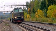 Traumzüge – Bildunterschrift: Für den Transport der schweren Rundhölzer sind die Bahnen von Hector Rail auf PS-starke Lokomotiven angewiesen.