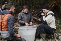 P.M. Wissen – Die Gewässerökologen der BOKU Wien (von links: Stefan Auer, Dr. Kurt Pinter, Michael Grohmann) bei der Bestimmung und Längenvermessung einer Regenbogenforelle. Welche Fische in welcher Größe stehen auf dem Speiseplan des Kormorans