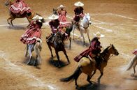 GEO Reportage – Die "Alteñitas de Guadalajara" gehören zu den besten Escaramuza-Teams in Mexiko.