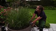 Helden des Handwerks – Maike, the landscape gardener maintains a 500 square meter lawn and all kinds of plants.