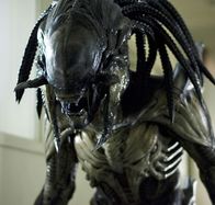 Aliens vs. Predator 2 – Predator