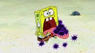 SpongeBob Schwammkopf – SpongeBob