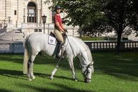 Servus Österreich – Michaela Winkler von der spanischen Hofreitschule