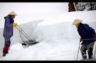 Satoyama – Gewaltige Schneemengen und Vulkanasche fördern das Gleichgewicht zwischen Tier- und Pflanzenwelt.