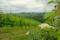 freizeit – Landschaft in der Steiermark.