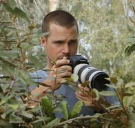 Navy CIS: L.A. – Ermittelt undercover in einem neuen Fall: Callen (Chris O'Donnell) ...