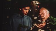 Karate Kid – Daniel La Russo (Ralph Macchio, l.) hat tagtäglich mit der brutalen Schikane seiner Mitschüler zu kämpfen. Um sich endlich dagegen wehren zu können, zeigt ihm Mr. Miyagi (Pat Morita, r.) als Lehrer und Freund die Urform des Karate.