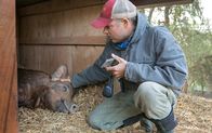 Unsere große kleine Farm – John Chester und seine Frau Molly haben acht Jahre harte Arbeit in den Aufbau der Farm gesteckt.