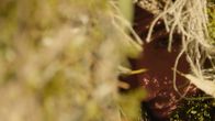 Mensch vs. Krake – Scottsdale, AZ - Corey Clancy im Ghillie-Anzug mit dem Zielgewehr.