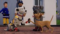 Feuerwehrmann Sam – Schnuffi, Luna und Buddler sind ein gutes Team.