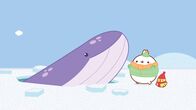 Molang – Molang und Piu Piu sind auf einer Eischolle, als sie einen Wal entdecken.