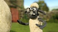 Shaun das Schaf – Shaun hat die Brille des Farmers gefunden. Wer kann damit denn sehen?
