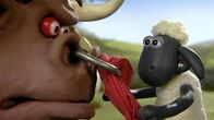 Shaun das Schaf – Auge in Auge mit dem großen Stier. Kann Shaun ihn beruhigen?