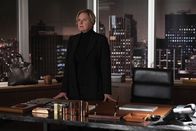 Suits – Suits (2019)