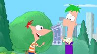 Phineas und Ferb – L-R: Phineas Flynn, Ferb Fletcher